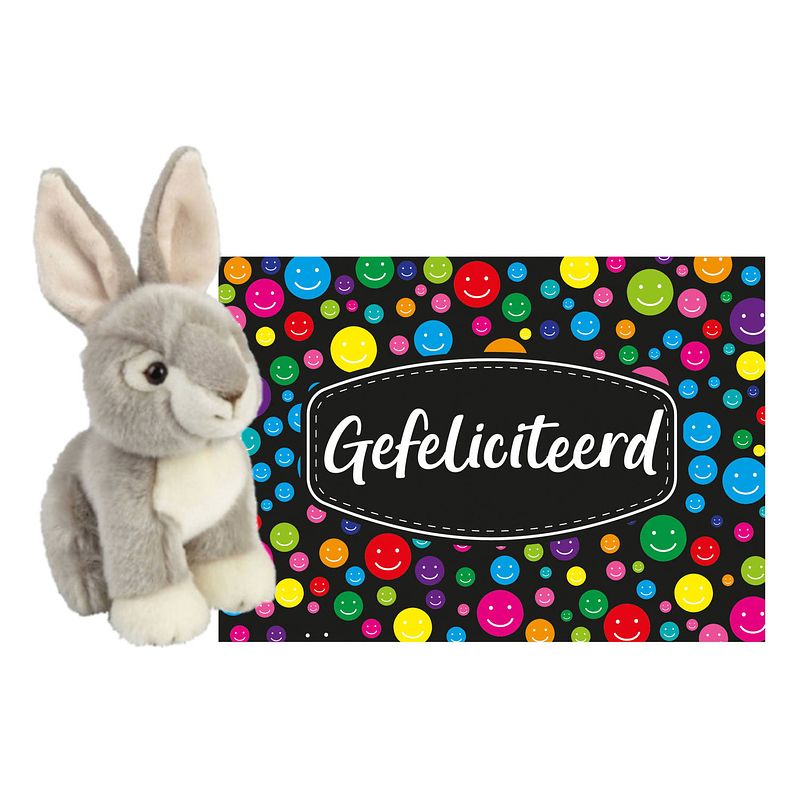 Foto van Pluche knuffel cadeau konijn 18 cm met a5-size gefeliciteerd wenskaart - knuffel huisdieren