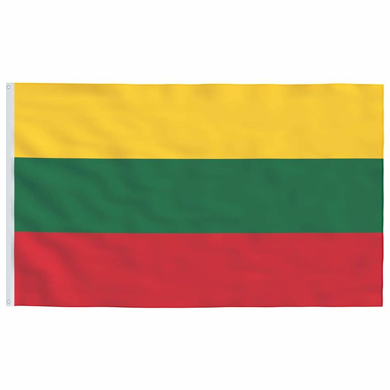 Foto van Vidaxl vlag litouwen 90x150 cm