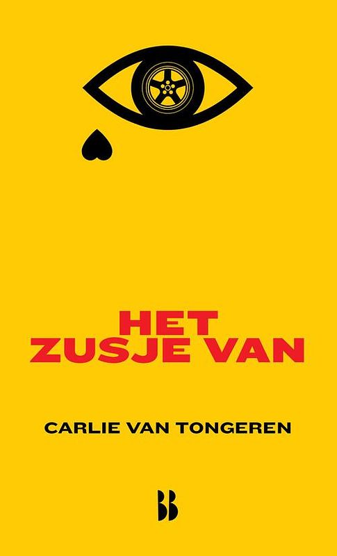 Foto van Het zusje van - carlie van tongeren - ebook (9789463490870)