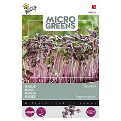 Foto van 5 stuks microgreens radijs (rood)