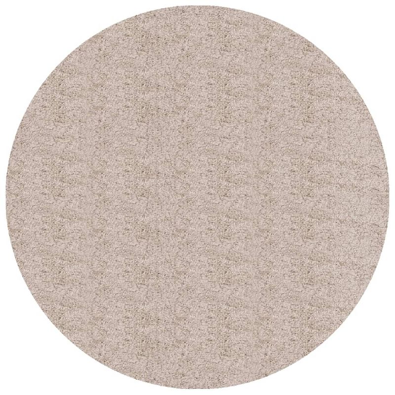 Foto van Vidaxl vloerkleed pamplona shaggy hoogpolig modern ø 80 cm beige