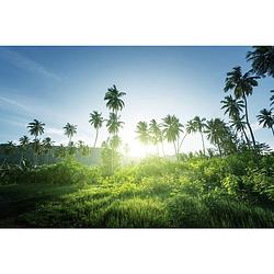 Foto van Inductiebeschermer - sunny jungle - 90x52 cm