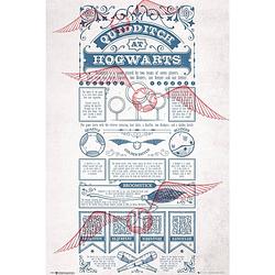 Foto van Gbeye harry potter quidditch at hogwarts poster 61x91,5cm