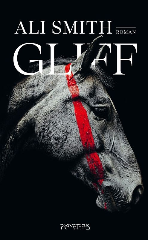 Foto van Gliff - ali smith - ebook