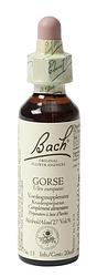 Foto van Bach flower remedies gaspeldoorn 13