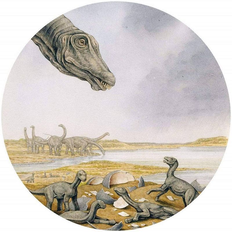 Foto van Komar young titanosaurs vlies zelfklevend fotobehang 125x125cm rond