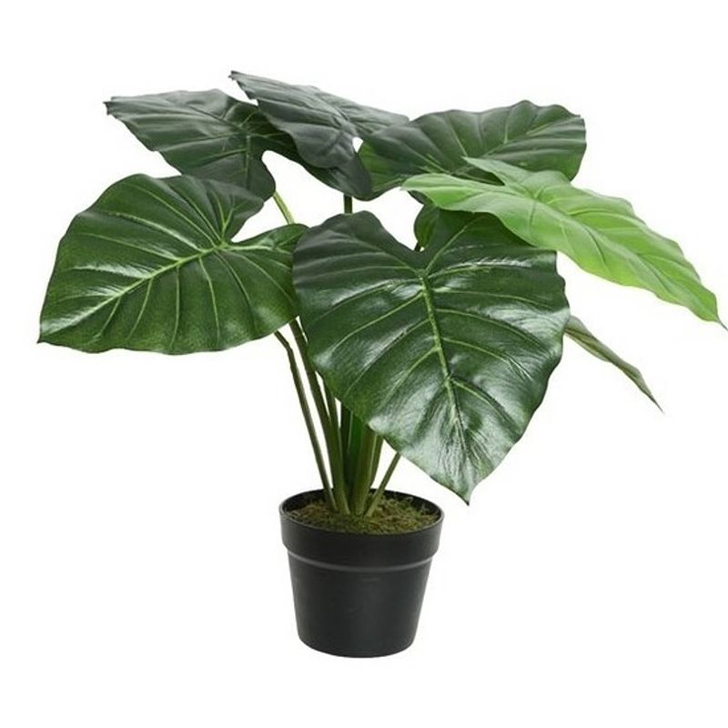 Foto van Groene colocasia/taro kunstplant 52 cm in zwarte pot - kunstplanten/nepplanten - kantoorplanten