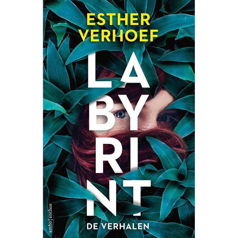 Foto van Labyrint - de verhalen