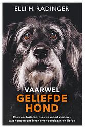 Foto van Vaarwel geliefde hond - elli radinger - hardcover (9789400515727)