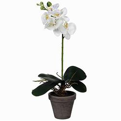 Foto van Phalaenopsis orchidee kunstplant wit in pot h48 x d13 cm cm - kunstplanten/nepplanten met bloemen