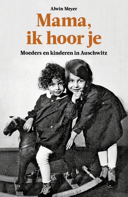 Foto van Mama, ik hoor je - alwin meyer - paperback (9789462624030)