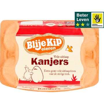 Foto van Blije kip eieren vrije uitloop kanjers 6 stuks bij jumbo