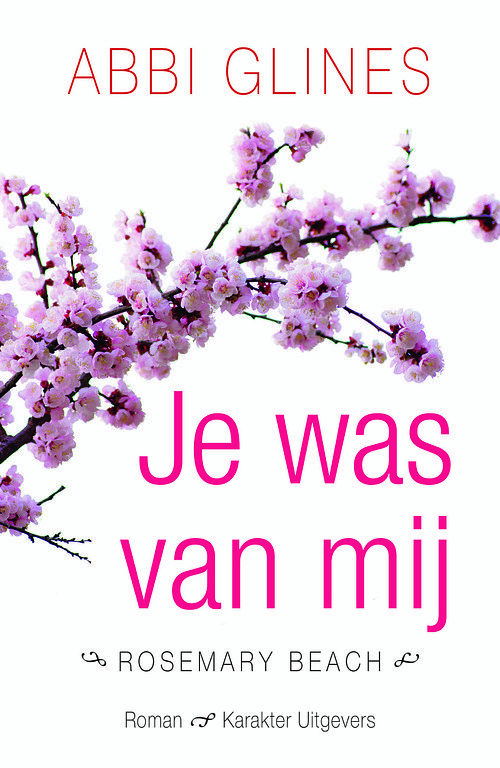 Foto van Je was van mij - abbi glines - ebook (9789045208886)