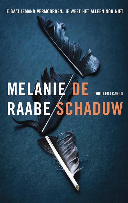 Foto van De schaduw - melanie raabe - ebook (9789403163604)