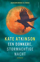 Foto van Een donkere, stormachtige nacht - kate atkinson - ebook