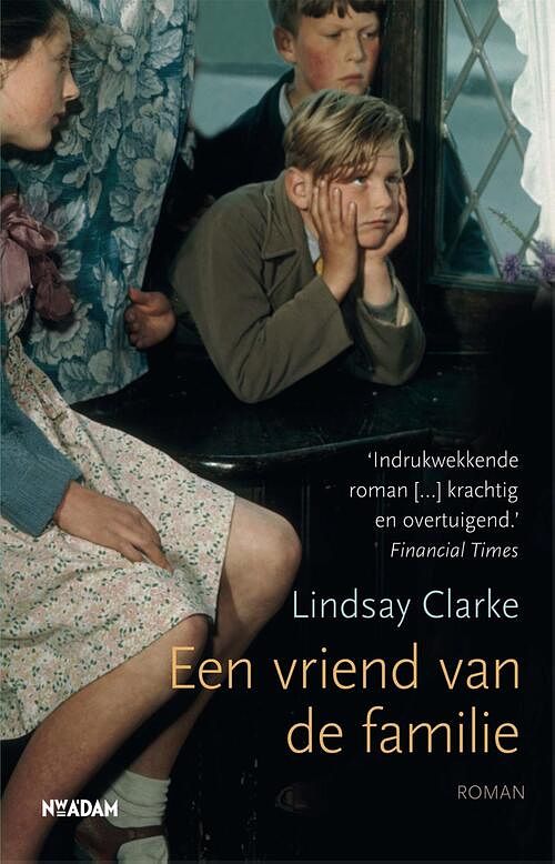 Foto van Een vriend van de familie - lindsay clarke - ebook (9789046812846)