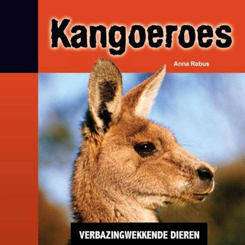 Foto van Kangoeroes - verbazingwekkende dieren