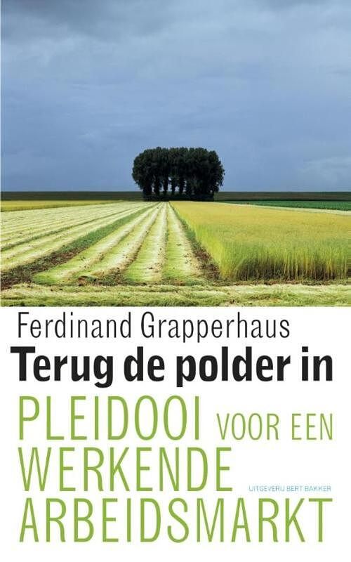 Foto van Terug de polder in - ferdinand grapperhaus - ebook (9789035139558)