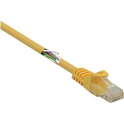 Foto van Renkforce rf-5224648 rj45 netwerkkabel, patchkabel cat 5e u/utp 0.15 m geel snagless 1 stuk(s)