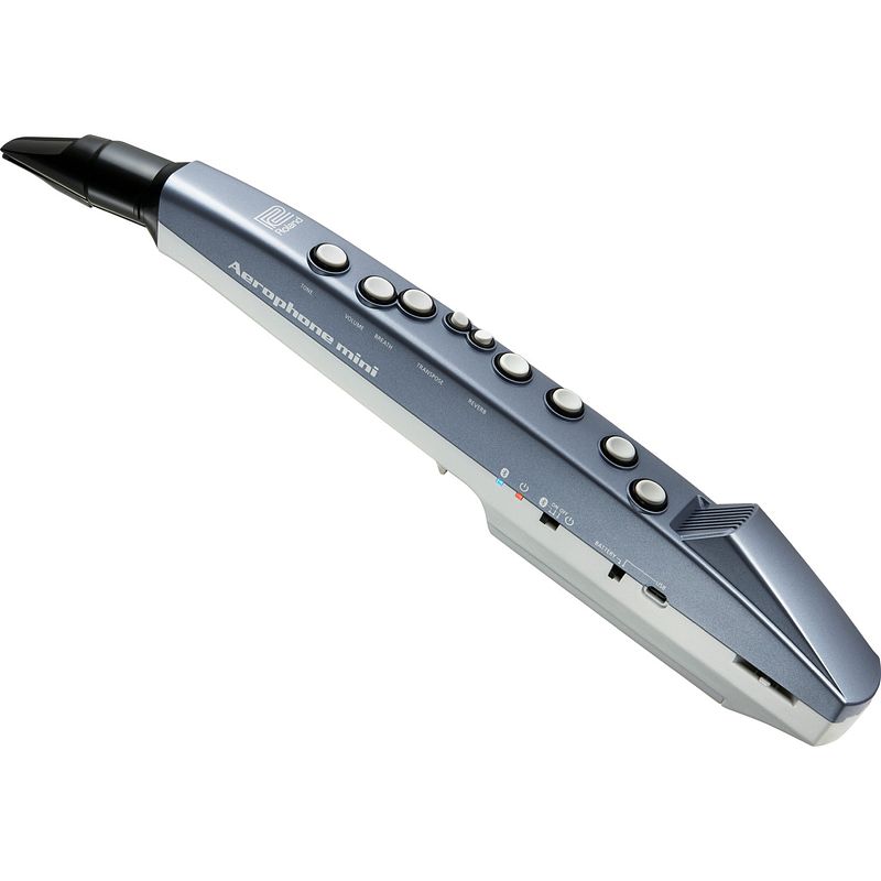 Foto van Roland ae-01 aerophone mini