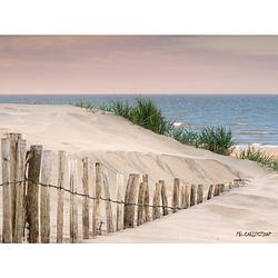 Foto van 2 stuks tuinschilderij maritime beach 50x70cm