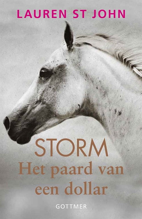 Foto van Het paard van een dollar - lauren st. john - ebook (9789025760359)