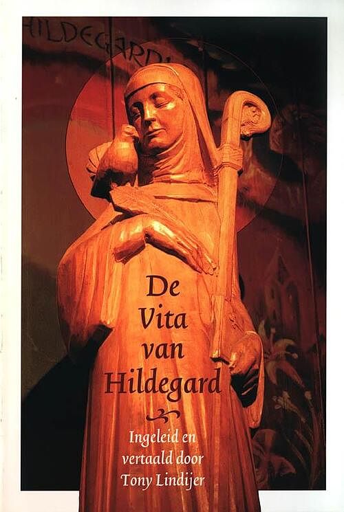 Foto van De vita van hildegard - paperback (9789065506108)