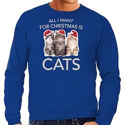 Foto van Blauwe kersttrui / kerstkleding all i want for christmas is cats voor heren 2xl - kerst truien