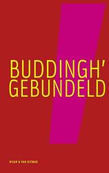 Foto van Buddingh's gebundeld - c. buddingh's - ebook (9789038893778)