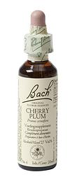 Foto van Bach flower remedies kerspruim 06