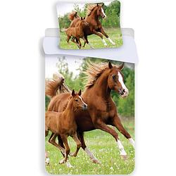 Foto van Animal pictures paard & veulen - dekbedovertrek - eenpersoons - 140 x 200 cm - multi