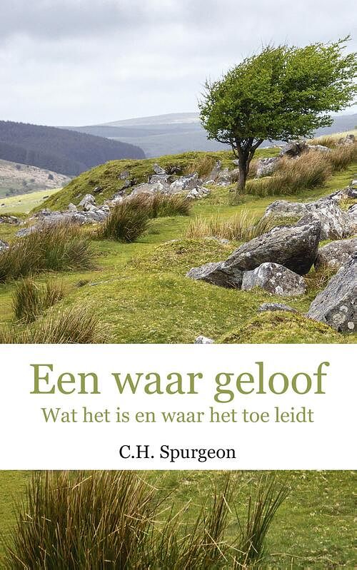 Foto van Een waar geloof - c.h. spurgeon - ebook (9789402906776)