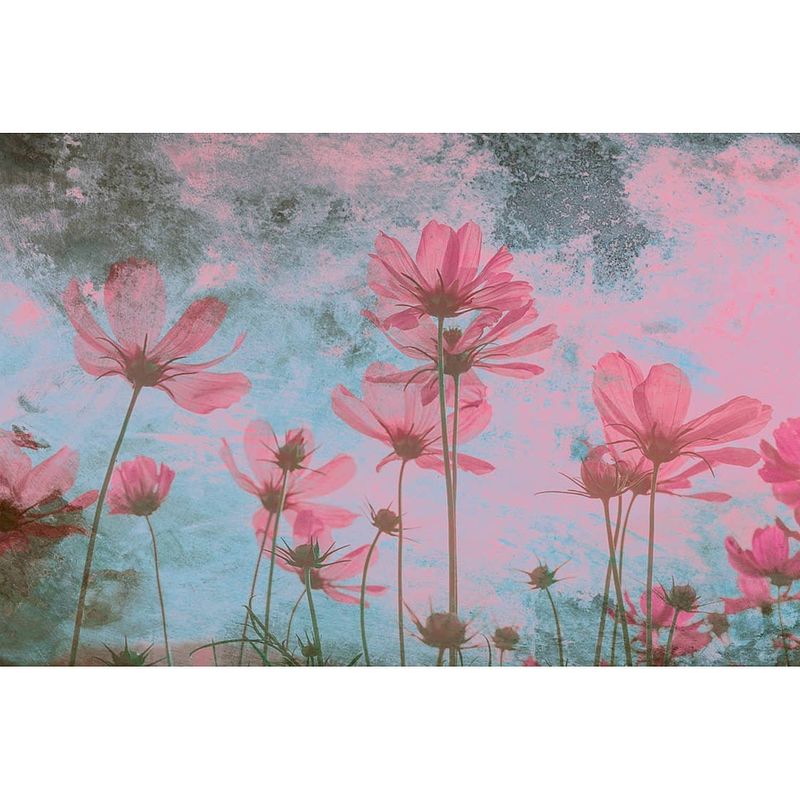 Foto van Dimex pink flower abstract fotobehang 375x250cm 5-banen