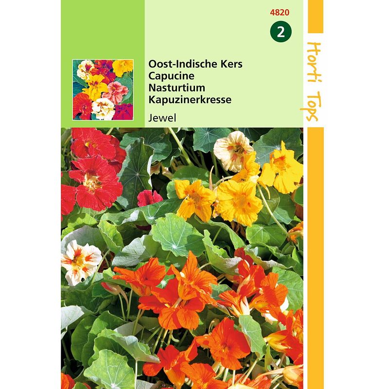 Foto van 2 stuks tropaeolum jewel dubbelbl. gemengd laag