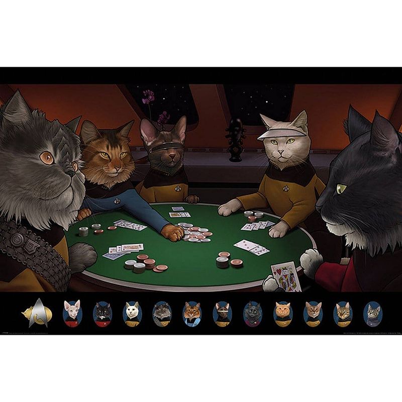 Foto van Pyramid star trek cats poker poster 61x91,5cm