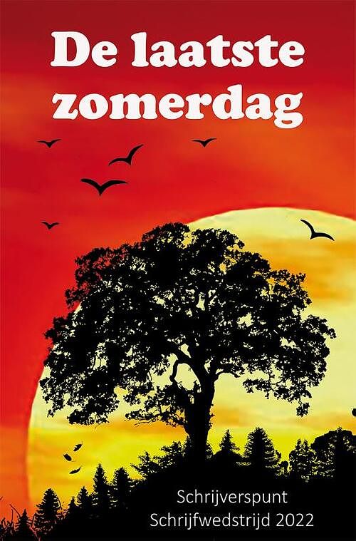 Foto van De laatste zomerdag - diverse auteurs - paperback (9789462666153)