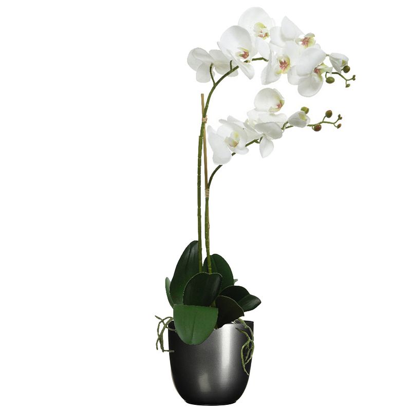 Foto van Orchidee kunstplant wit - 62 cm - inclusief bloempot titanium grijs glans - kunstplanten