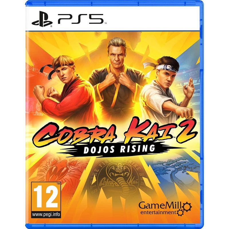 Foto van Cobra kai 2: dojos rising - ps5