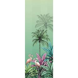 Foto van Komar jungle flamingo vlies fotobehang 100x280cm 2-banen