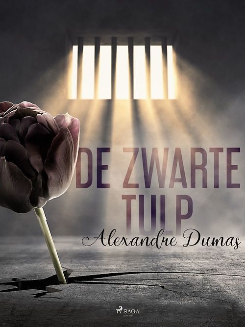 Foto van De zwarte tulp - alexandre dumas - ebook