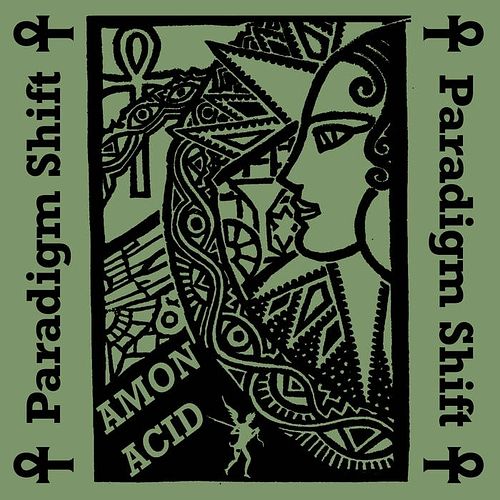 Foto van Paradigm shift - cd (7350057886311)