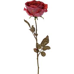 Foto van Top art kunstbloem roos calista - rood - 66 cm - kunststof steel - decoratie bloemen - kunstbloemen