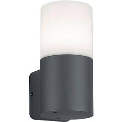 Foto van Led tuinverlichting - wandlamp buitenlamp - trion hosina - e27 fitting - spatwaterdicht ip44 - mat antraciet - aluminium