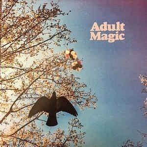 Foto van Adult magic - lp (2090405383905)