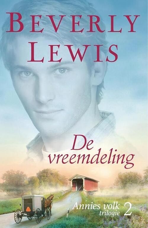 Foto van De vreemdeling - beverly lewis - ebook (9789401905404)