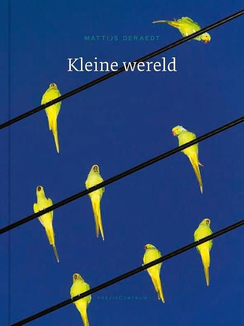 Foto van Kleine wereld - mattijs deraedt - paperback (9789056551308)