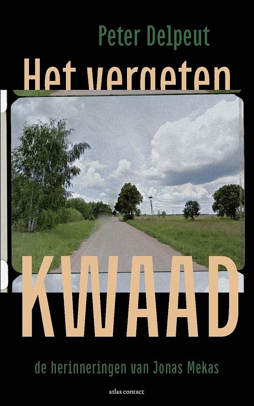 Foto van Het vergeten kwaad - peter delpeut - ebook (9789045043500)