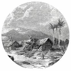 Foto van Wallart behangcirkel landscape of guadeloupe 142,5 cm
