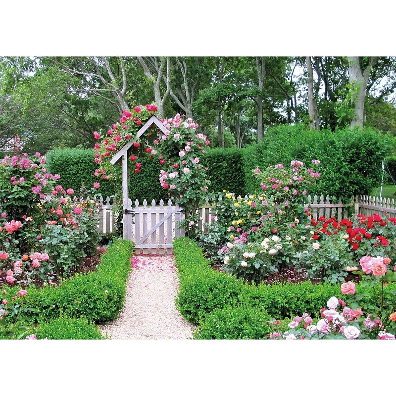 Foto van Tuinschilderij rose garden 70x130cm