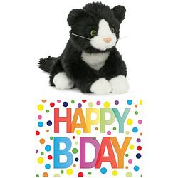 Foto van Cadeau setje pluche zwart/witte kat/poes knuffel 18 cm met happy birthday wenskaart - knuffel huisdieren